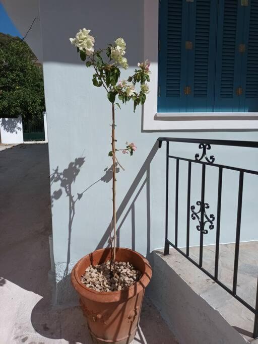 Studio Bella Epidaurus Exterior photo